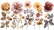 Set of floral arrangements isolated on white background, with a mixed pastel color palette of natural colors like blush pink, beige, cream and gold. 