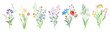 Set of cute, beautiful different bouquets with wildflowers and herbs. Compositions of delicate flowering meadow plants, stems, leaves. Floral botanical vector flat decoration