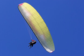 Poster - Tandem Paraglider flying in a blue sky	