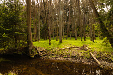 beautiful landscape in mill valley in the thuringian woodland betweeen Eisenberg and Bad Klosterlausnitz