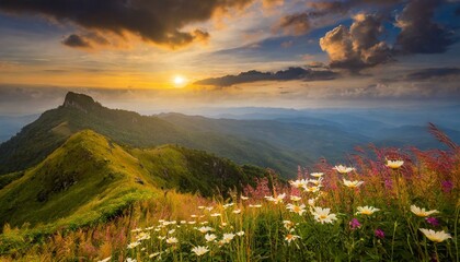 Wall Mural - Sky sunset and green hill mountains with beautiful flowers meadow are wonderful places. 