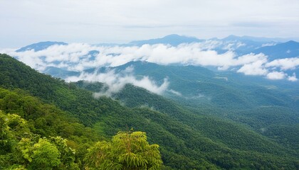 Wall Mural - Tropical green mountains with mist. Cloudy foggy sky backdrop.