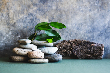 Organic natural background of leaves, tree bark and stones on green