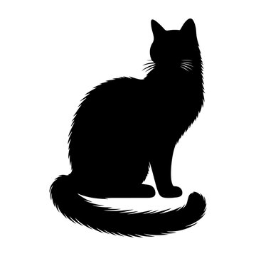 Black silhouette of cat , vector black color silhouette