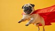Exuberant Pug in Superhero Cape, Ready for Adventure