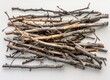 Natural Wooden Twigs and Branches Arrangement for Decoration or Craft Project