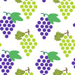 color isolated seamless pattern grape berries in flat shape style in vector. template for backdrop textile wallpaper wrapping background print decor design