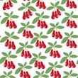 color isolated seamless pattern dogwood berries in flat shape style in vector. template for backdrop textile wallpaper wrapping background print decor design