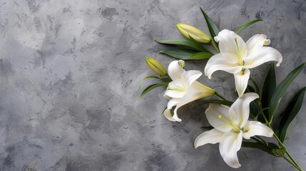 elegant sympathy card with white lily flowers on muted grey funeral concept