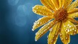 Yellow daisy flower (heliopsis) on the deep blue background. Beautiful flower petals with dew.