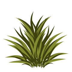 Wall Mural - Grass illustration