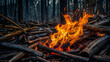 Wallpaper image of burning flames 15