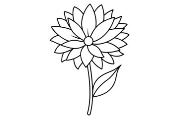 Sticker - aster flower vector illustration