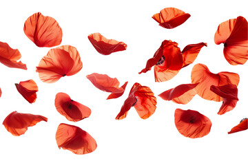 Wall Mural - red poppy floral seamless pattern