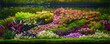 Colorful planted aquarium tank. Aquatic plants tank. Dutch inspired aquascaping with colorful aquatic stem plants. Aquarium garden, selective focus with blur motion of fish swiming