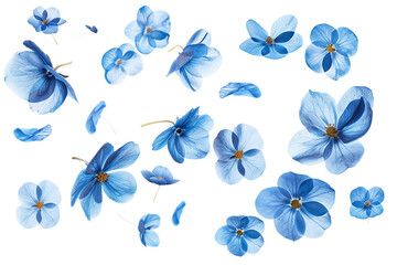 Wall Mural - blue butterfly and flower set flowers petals flying for spring nature design