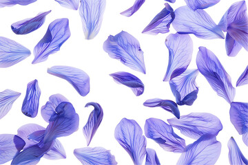 Wall Mural - blue floral seamless pattern with flowers petals flying for spring designs