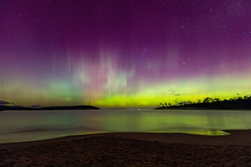 Wall Mural - aurora australis over the ocean