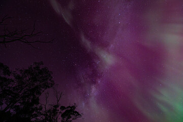 Wall Mural - sky with stars