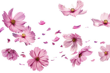 Wall Mural - pink floral pattern with butterfly and leaf accents for spring design
