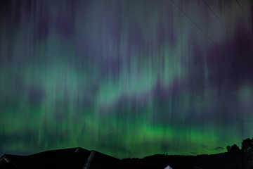 Wall Mural - aurora austral