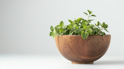 Wall Mural - Oregano or marjoram leaves fresh and dry in wooden bowl isolated on white background with full depth of field 
