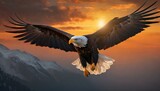 Fototapeta  - bald eagle flying