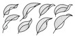 Set of drawing leaves with white background.