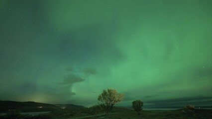 Wall Mural - The beautiful dance of the Aurora Borealis illuminates the dark winter sky. Timelapse video.