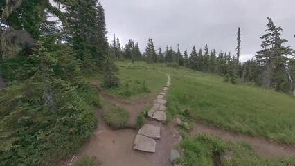 Sticker - Woman Walks Into Frame over Footbridge in Mount Rainier National Park