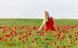 A girl in a red dress sits on a field with tulips in spring