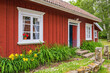 Red old cottage with garden plants and blooming bellis on the lawn