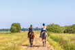 Female riders on horses in a sunny summer landscape