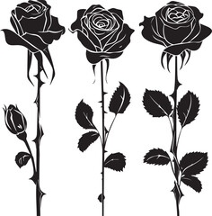 Wall Mural - set of roses vector