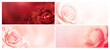 Set of horizontal banners with rose of pink and red color on blurred background. Copy space for text. Mock up template. Can be used for wallpaper, wedding card, web page backdrop