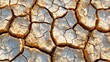 Sunlit cracked desert soil with high-resolution texture details
