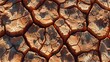 Rust-colored cracked earth texture under sunlight with vivid details
