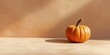 One pumpkin on an orange background. A banner with a copy space for text for autumn holidays - Halloween, Thanksgiving, harvest celebrations