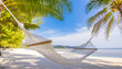 Scenic tropical beach as summer landscape with beach swing or hammock hanging on palm tree 