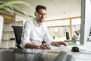 Mature businessman using computer sitting at desk in office