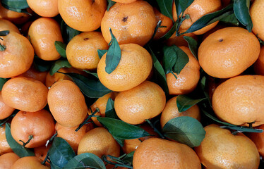 Fresh mandarin oranges at the fruit market