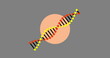 Image of dna rotating over grey background