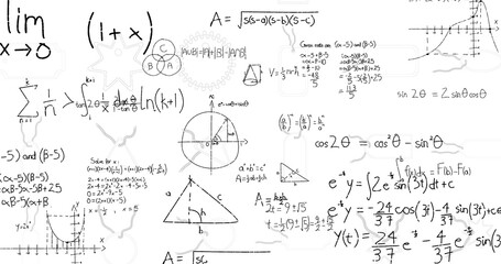 Fototapete - Image of math graps and data over white background