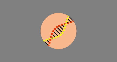 Poster - Image of dna rotating over grey background