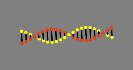 Poster - Image of dna rotating over grey background