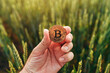 Farmer holding Bitcoin cryptocurrency coin in green wheat field