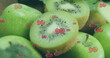 Kiwi slices and whole kiwis, displaying in close-up, feature green background