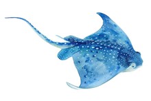A Beautiful Watercolor Painting Of A Sting Ray. Perfect For Marine-themed Designs