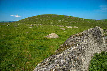 Poster - Grande pierre dans les prairies de l'Aubrac à Malbouzon, Lozère, France