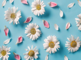 Wall Mural - daisies and petals on a blue background in a flat lay top view